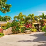 Anguilla\'S Bird Of Paradise