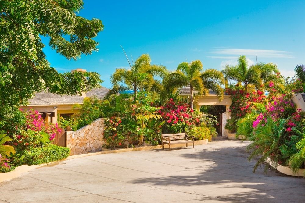Anguilla's Bird Of Paradise The Valley