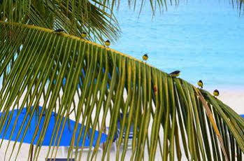 Hotel Shoal Bay 3*