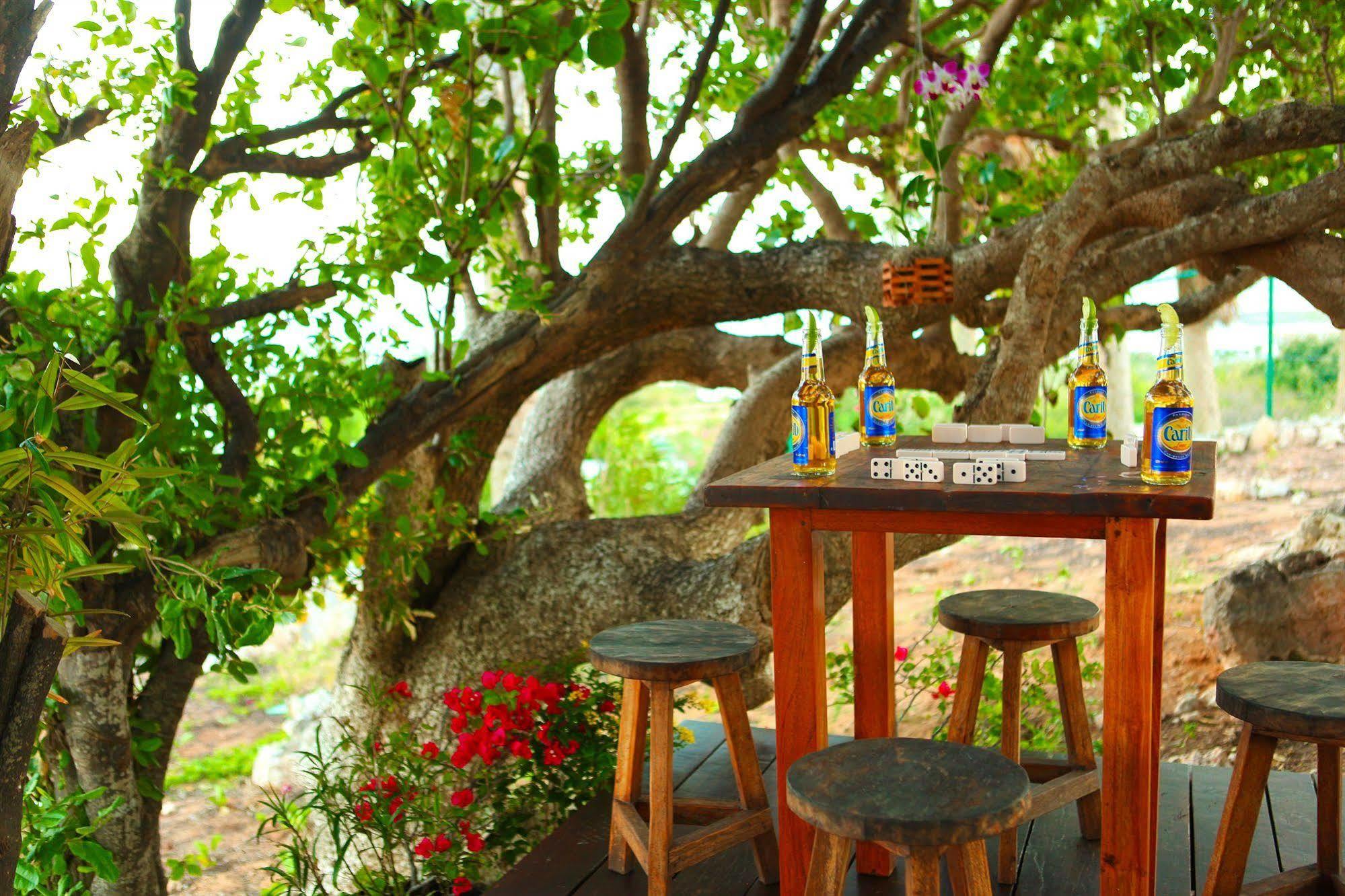 Anguilla's Bird Of Paradise 4*