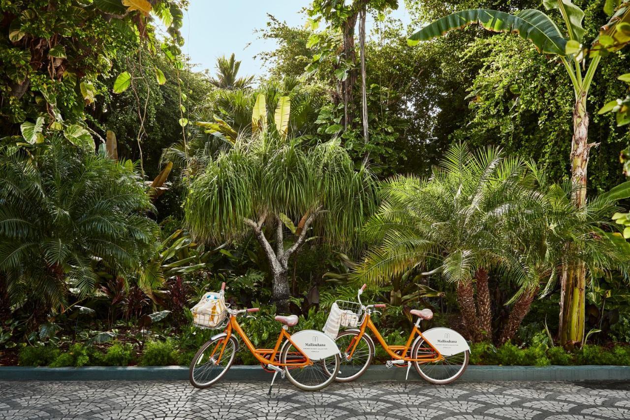 Malliouhana Anguilla Resort 4*