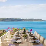 Ani Anguilla