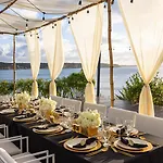 Ani Anguilla