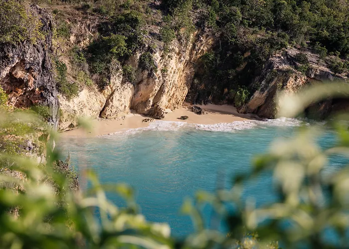 Ani Anguilla