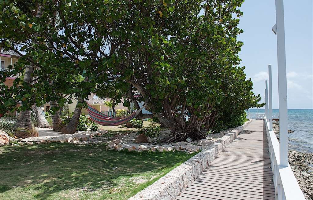 Guest house Arawak