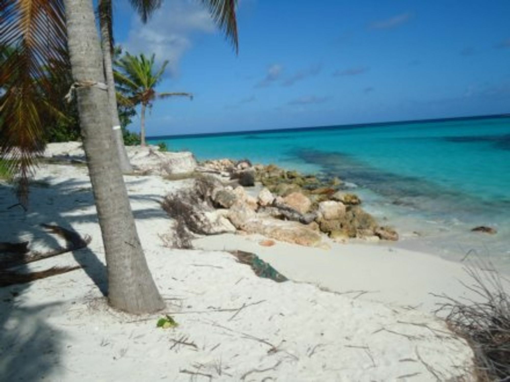 Apartment Allamanda Club Shoal Bay Village