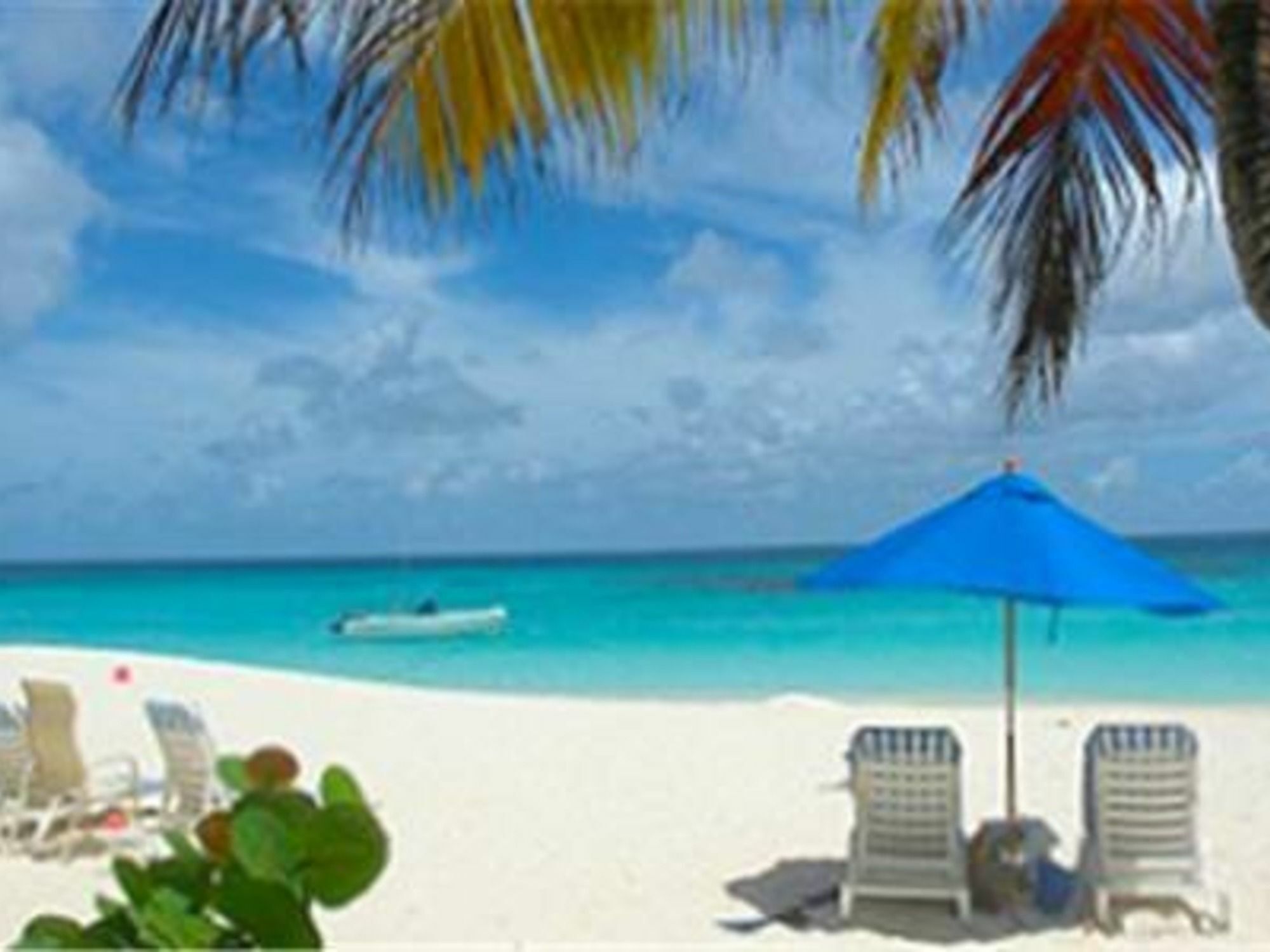 Allamanda Club Apartment