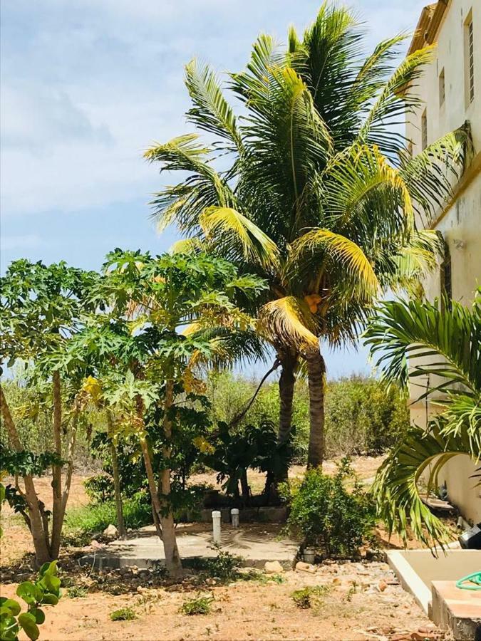 Holiday home White Sands Anguilla - Sea Blowing Point Village