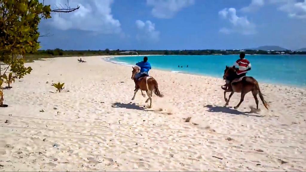 White Sands Anguilla - Sea Holiday home